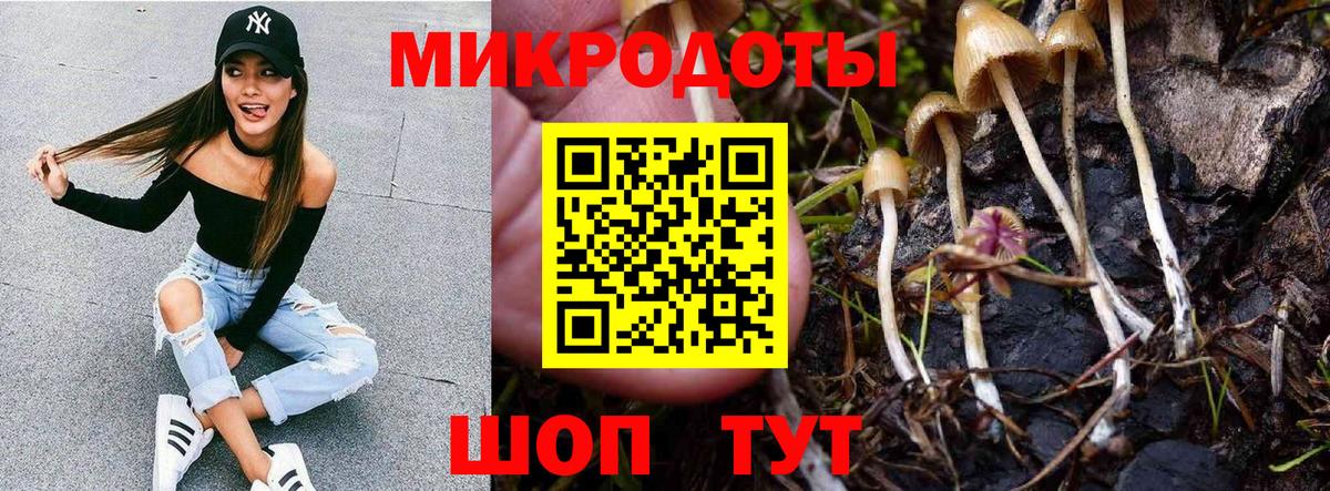Псилоцибиновые грибы MAGIC MUSHROOMS  Вход с VPN  Бор 